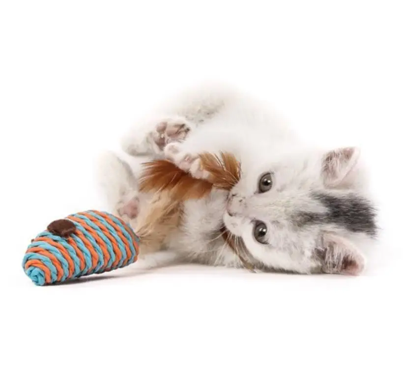 
Имитация кошачьей мяты, игрушка для кошек, альтернативный смешной игровой набор, подарок, игрушечный набор для кошек 