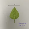 Small sunflower leaf
