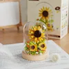 Joyau caché-tournesol avec cache-poussière-170 pièces