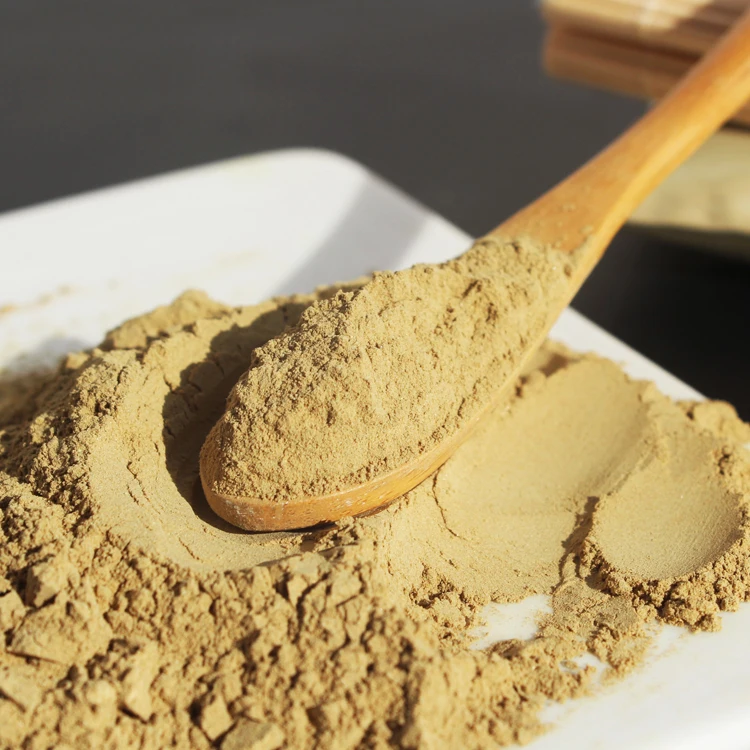 Buy Noni Fruit Extract Factory Price Noni Fruit Extract Powder In Stock