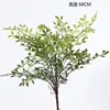 Nandina domestica fern