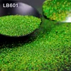 LB601 vert holographique