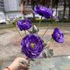 Morado oscuro