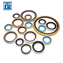 Combination Gasket Metal Rubber O Ring ,Compound Gasket metal seals ,O-shaped adhesive gasket metal combination gasket