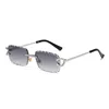 Silver frame double gray c4