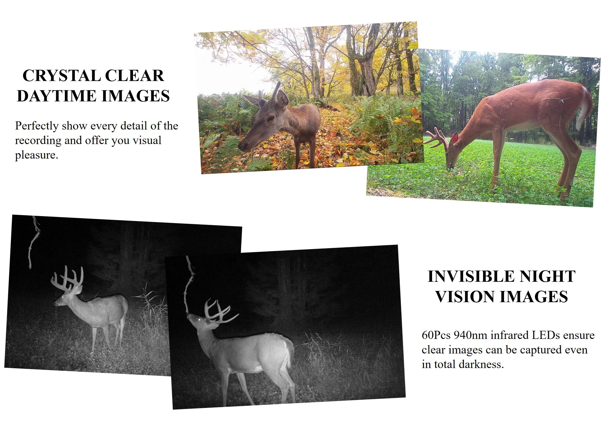2023 4G LTE App Remote Control Wildlife Cam Sim Card Hunting Trail Camera with Night Vision