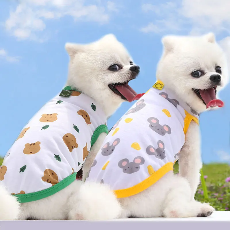 cool dog outfits