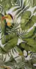 Floral, Oiseaux