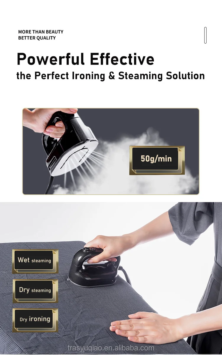 2200w Burst Steam 5 Steam Settings Double Pole Garment Steamer With