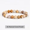 3A Natural Coral Fos-sil