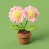 Plante en pot marguerite rose à deux têtes - Mini bol à fil