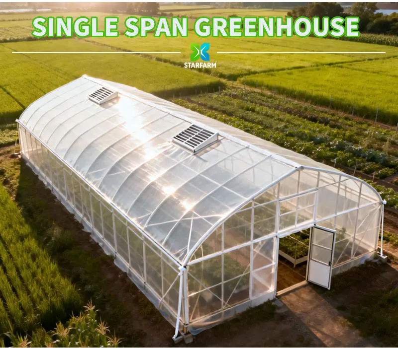 Discover the benefits of an anti-UV Single-Bay Film Greenhouse for vegetable cultivation. Enhance your farming with this innovative solution today!