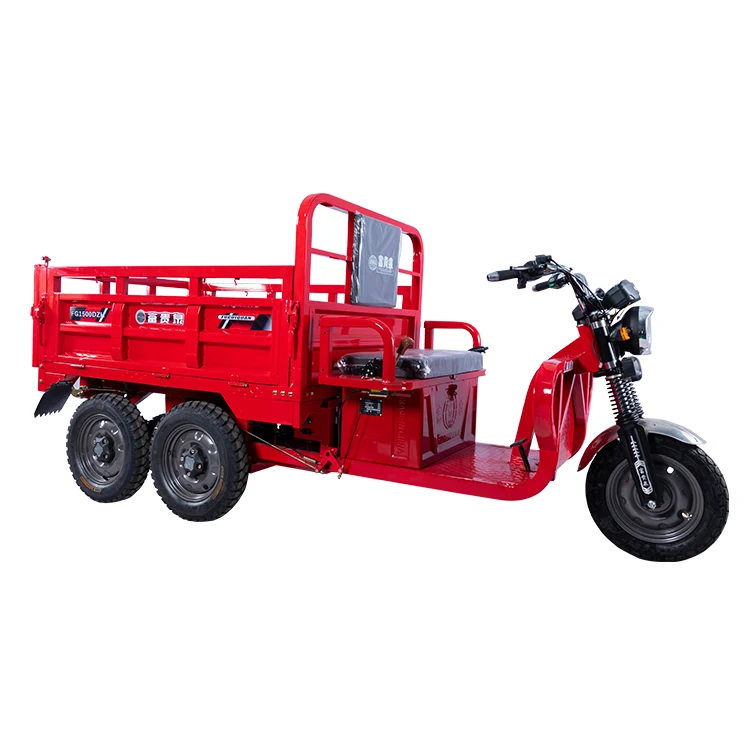 FGQ Heavy Duty Adult Truck 5 Wheels Cargo Electric Agricultural Tricycle