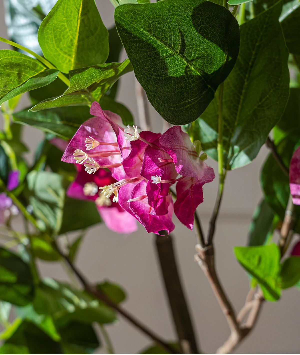 Natural Style Home Office Decor Artificial Bougainvillea PVC Green Plastic Pot Real Touch Leaves Artificial 180cm Fabric Wedding supplier