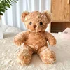 Orso bruno#1