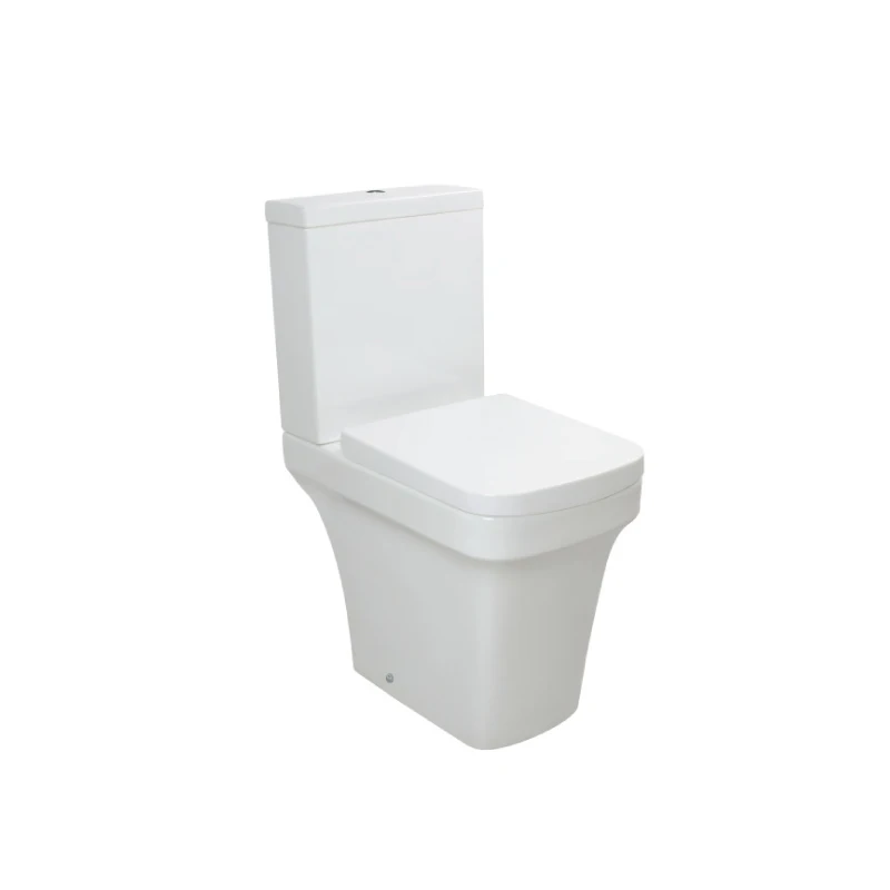 Western Commode Designer Bathroom Rimless Wholesale WC Ceramic Sanitary Toilet Bowl Toilet With Bidet Function