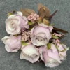 Rosa chiaro autunnale
