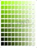 Colore Verde Chiaro