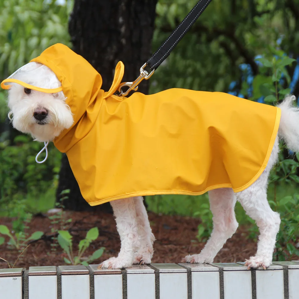 Pet Supplies Dog Raincoat And Hat Pet Set Go Cape Style Raincoat