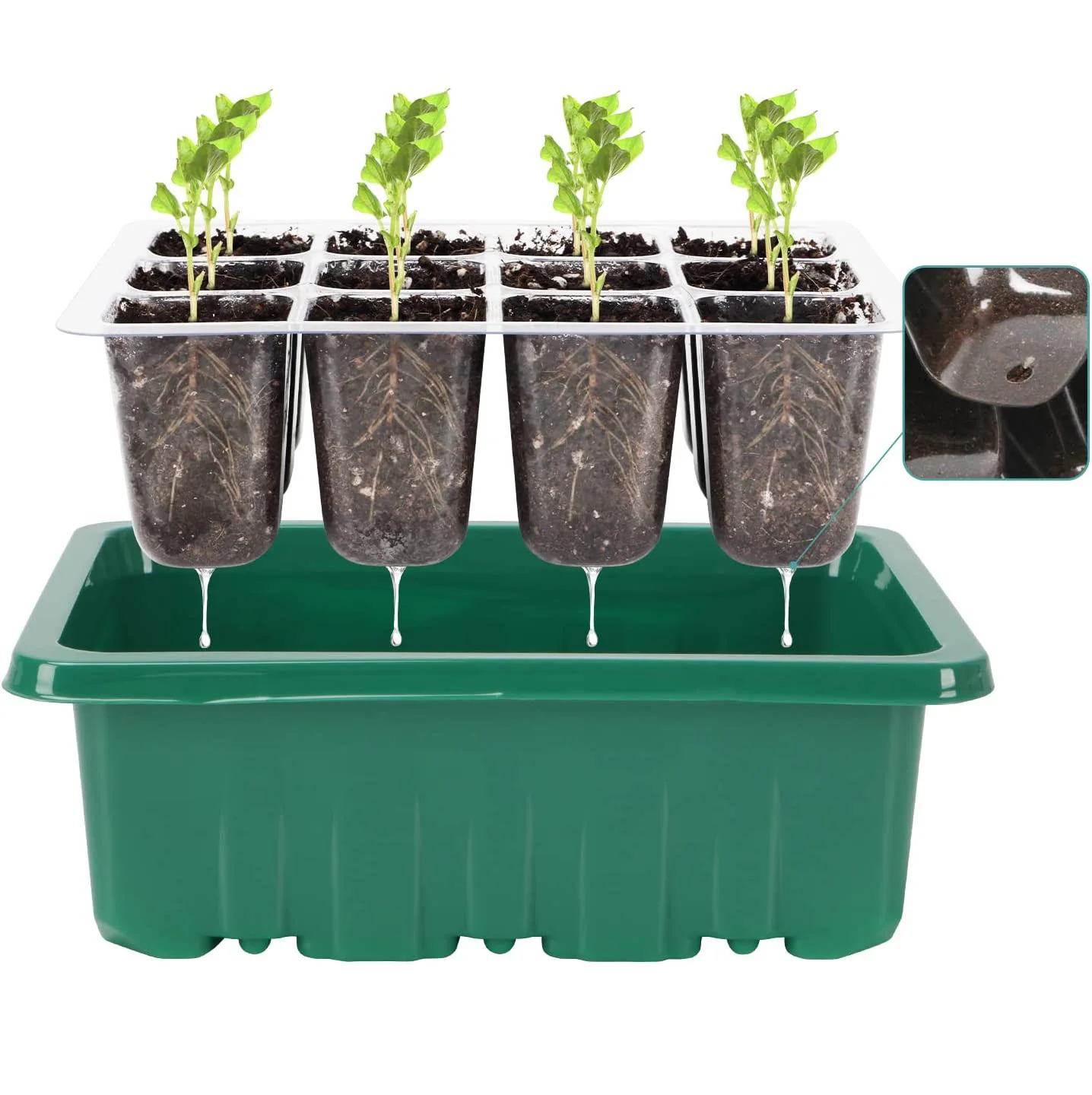 Recyclable PVC PET PS Clamshell Blister Packs for Seeds & Plant Plugs Moisture-Control & Ventilated Tray Design