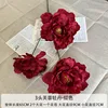 ลิตเติ้ลพีโอนี