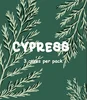 Cypress