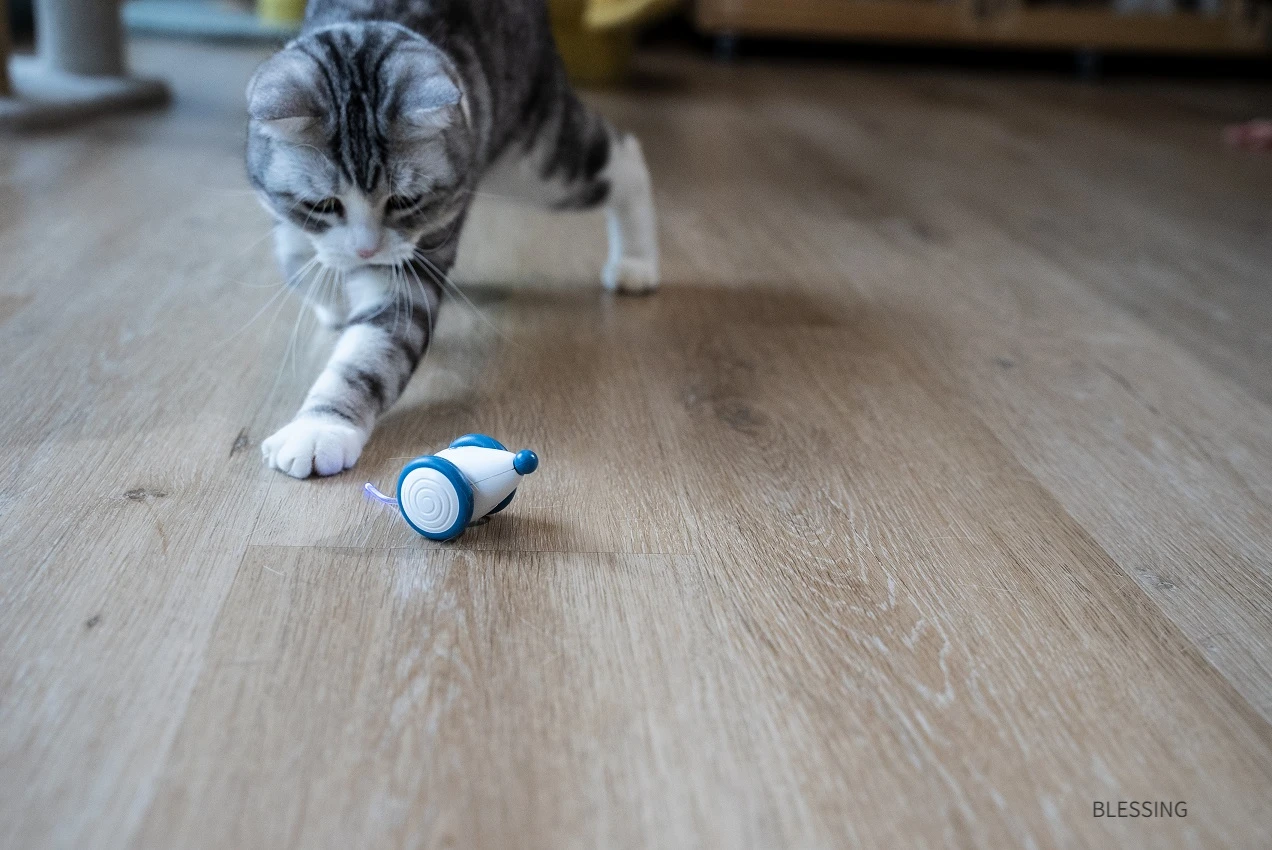 Big Sale!new Item Hot Sale Smart Pet Toy Cat Product Usb Electronic