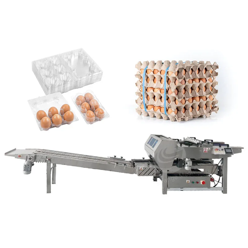 ORME Automated Chicken Egg Pack Machine Paper Pulg Egg Pack Machine Egg Pack Machine