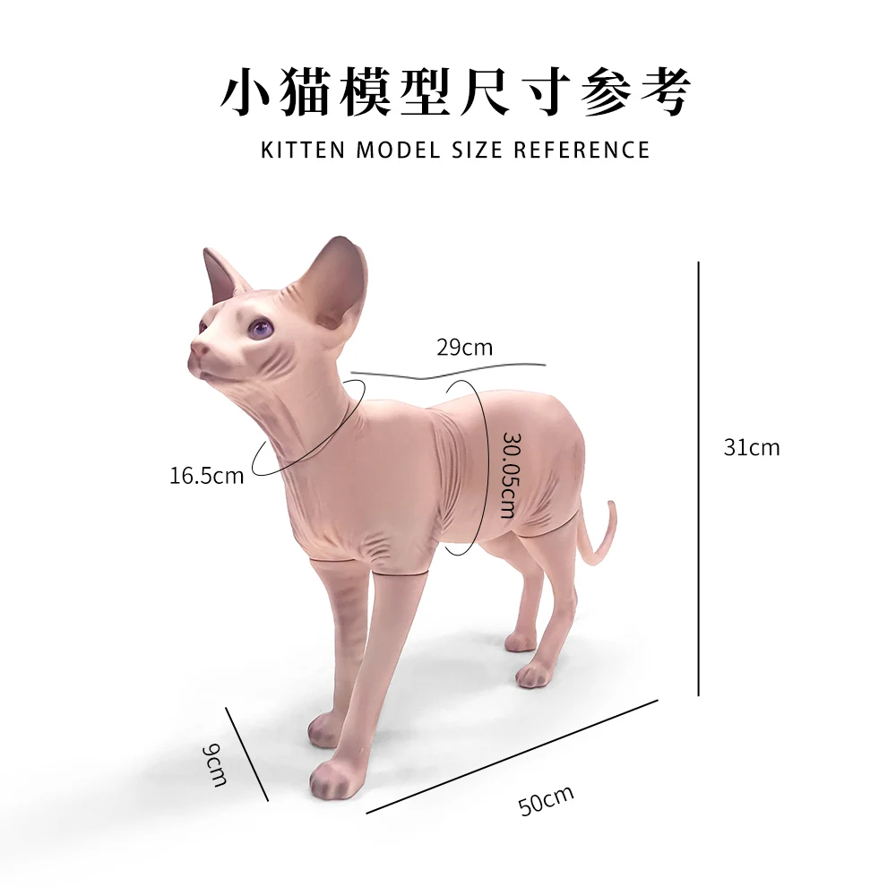 Cat Mannequin for Window Display New Design Sphynx Cat Model
