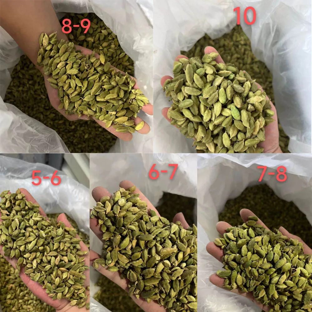 9mm Green Cardamon Spices Single Herbs Biggest Green Cardamon For Cooking Milky Tea