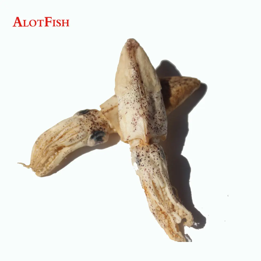 Freeze Dried Squid Fishing Bait Fishing Lure Buy Squid Fishing Bait