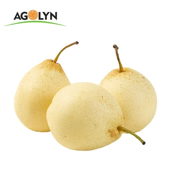 wholesale supplier High quality Yellow Fresh Ya Pear