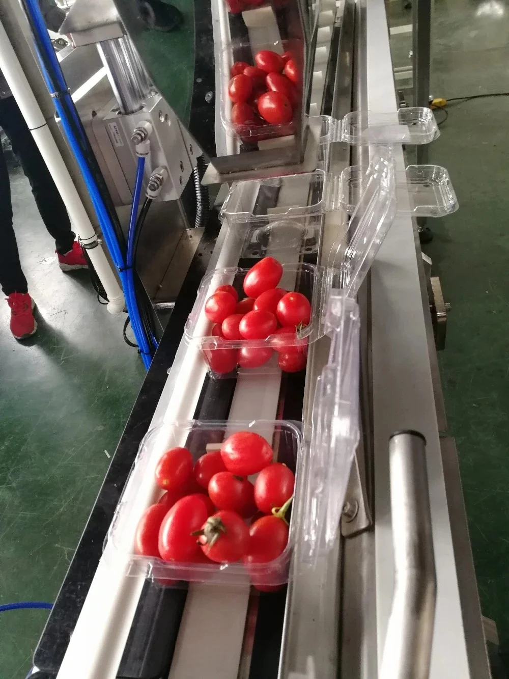 Automatic 10/14 Heads Weigher Scale Cherry Tomatoes Clamshell Punnet Tray Weighing Multihead Weigher for Packaging Machine