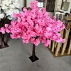 rosa rosa