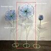 Blue-purple single bloom-80 cm