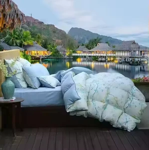 New Cotton Printed Summer Bedspread Sets - 7-Piece Customized Comforter and Pillowcase Duck Down Duvet