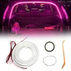 Pink Purple Light 2M