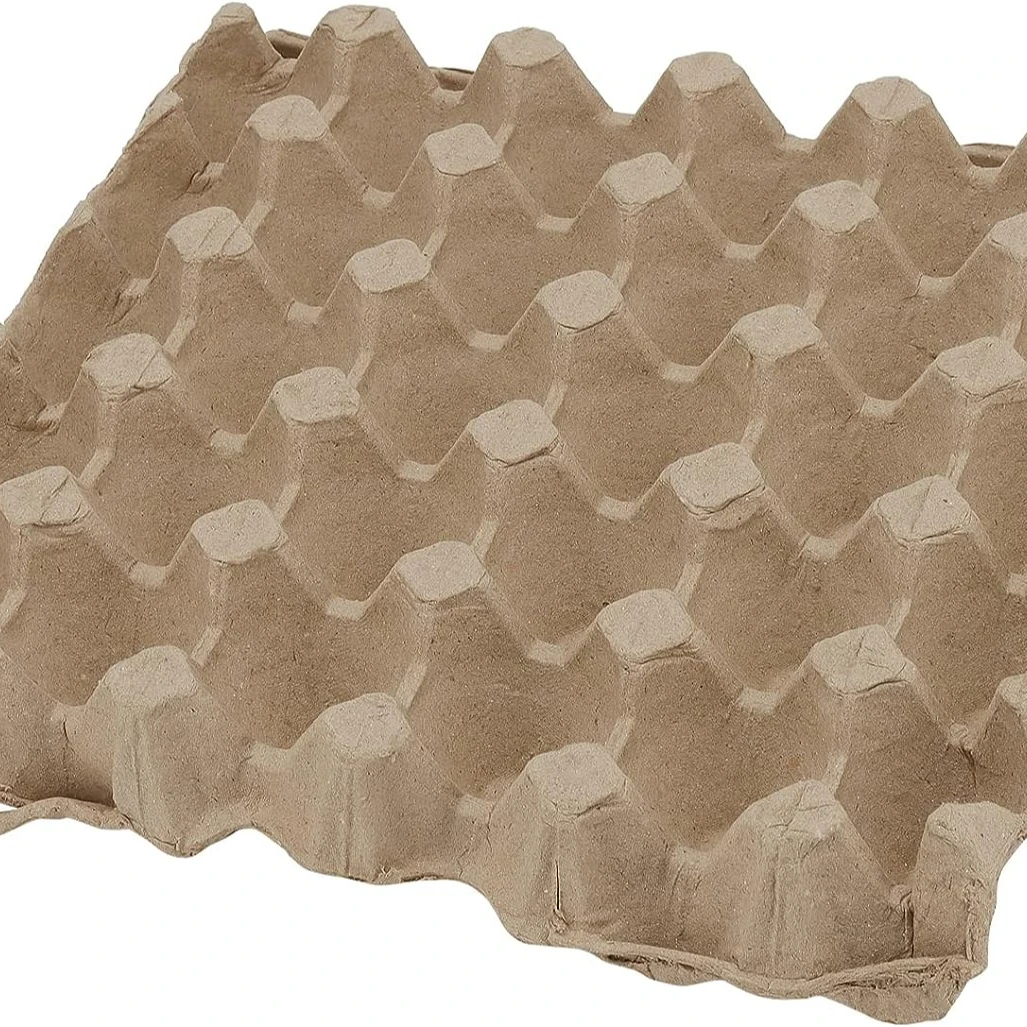 Scatola Portauova In EPE: Antiurto, Per Trasporto E Conservazione Uova - Foto 6