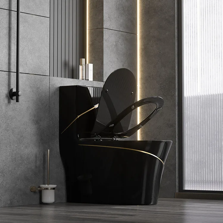 Modern new design luxury color Phnom Penh sanitary ware Ceramic integrated bathroom flush toilet details