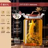 Bolsa sin grifo de vidrio de borosilicato alto resistente al calor de 20 kg [Incluye transportador de vino]