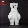 Orso polare