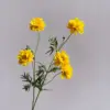 Giallo