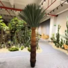 Green 260cm