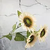 Fiore sole 01