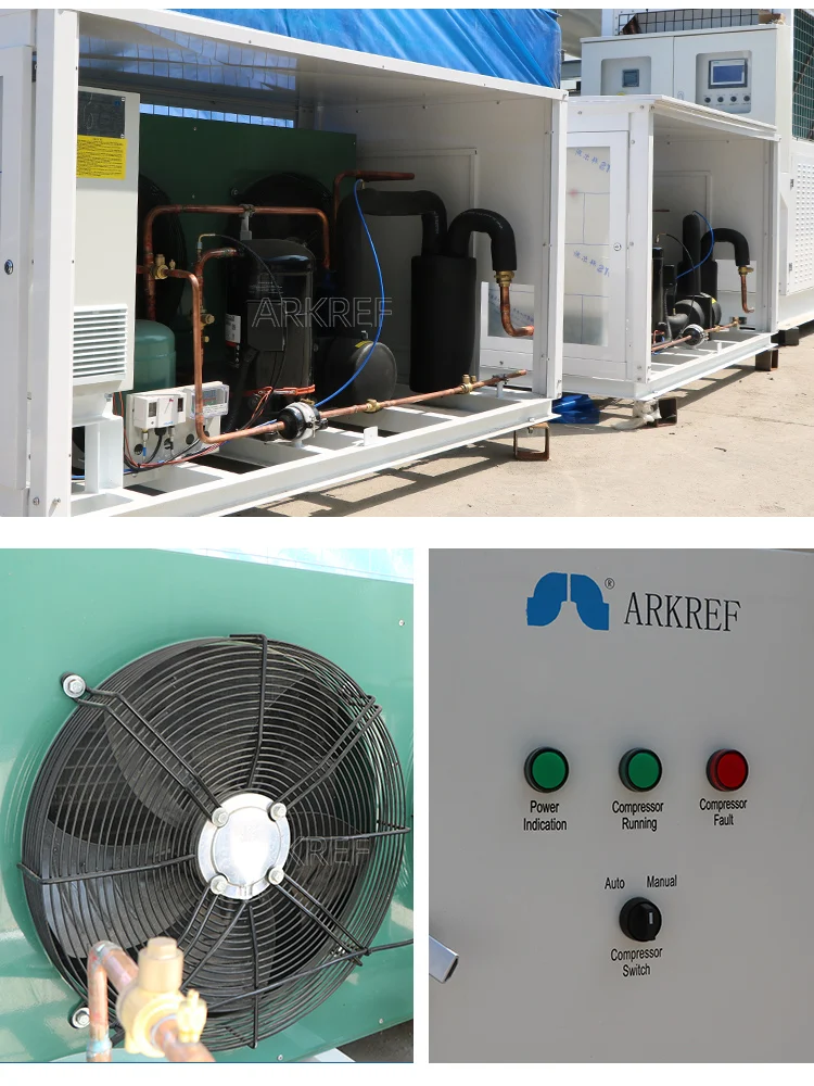 Arkref Ice Cream Blast Freezer Customized Size Chilling Room Cold