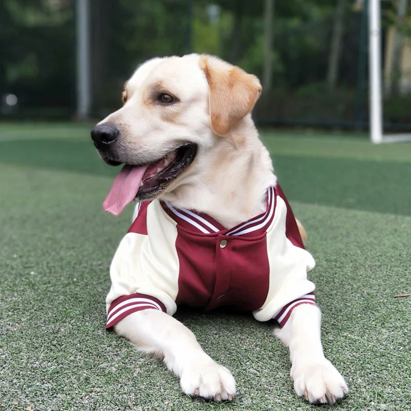 hundespielzeug quietschen Quietschendes Thanksgiving-Truthahn-Interaktives Hundespielzeug – Toy Triver