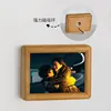Teak frame model 02-magnetically attractive backplate