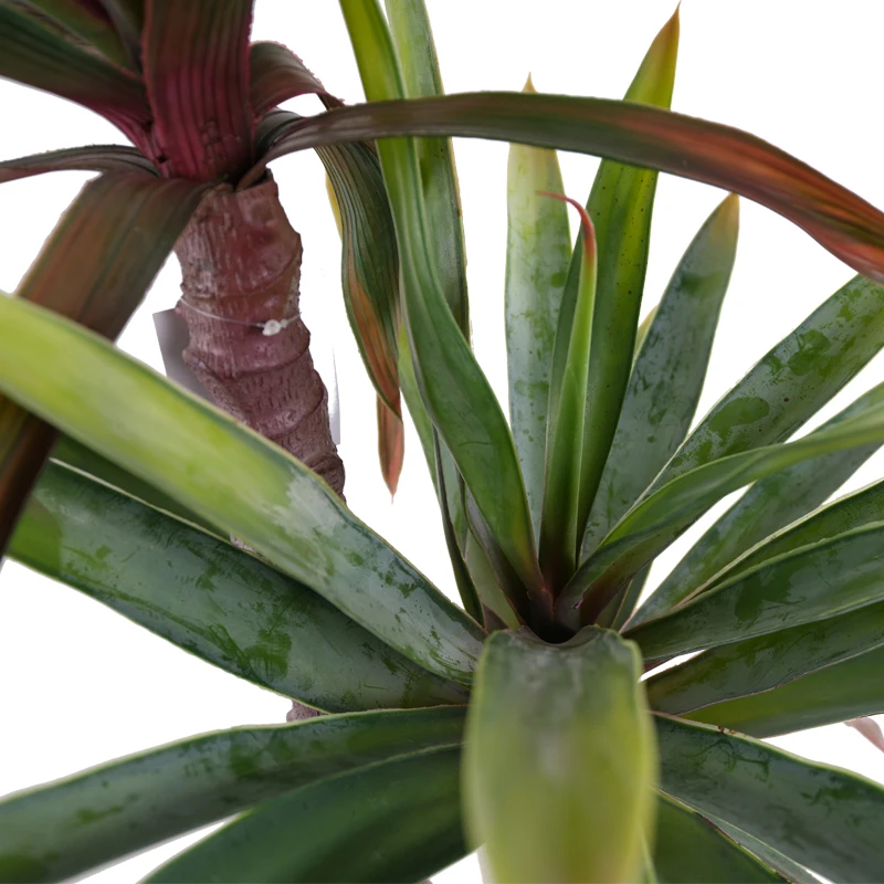 Заводской поставщик оптовая продажа сизаль конопля Агава растения для украшения сада искусственное растение дерево сисалана бонсай