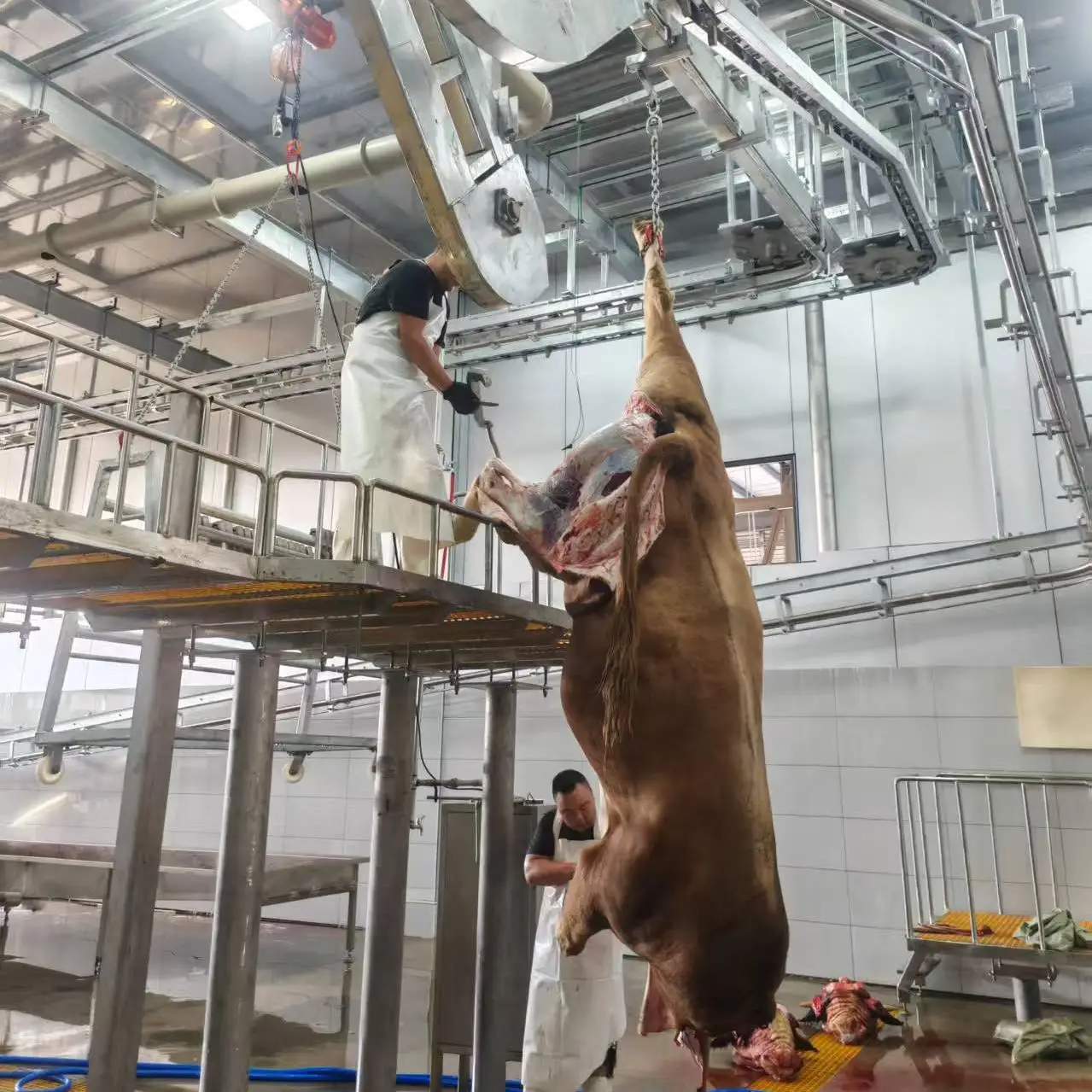 Automatic halal cattle slaughtering equipment Rotary slaughter box for beef processing line in buffalo slaughterhouse