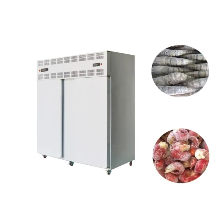 High Output  Minus 50 Degrees Celsius Blast Freezer Conveyor Foshan